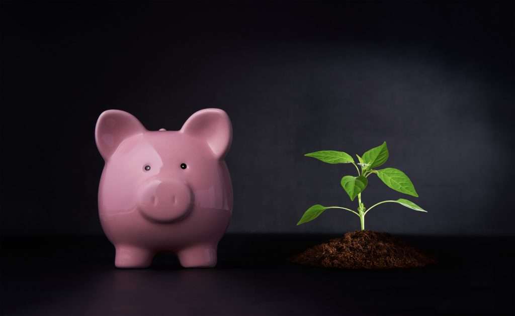 Family Asset Protection Strategies That Work